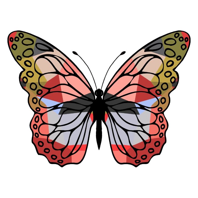 Papillon