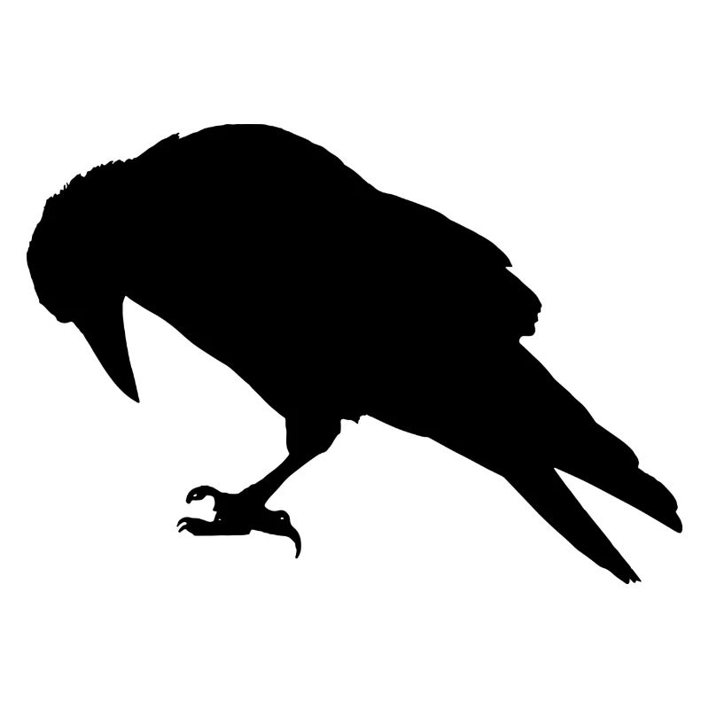 Expandables Crow / Krähe / Raabe sitzend