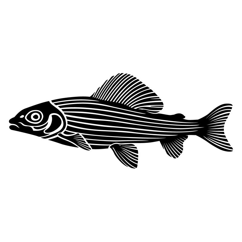 Äsche