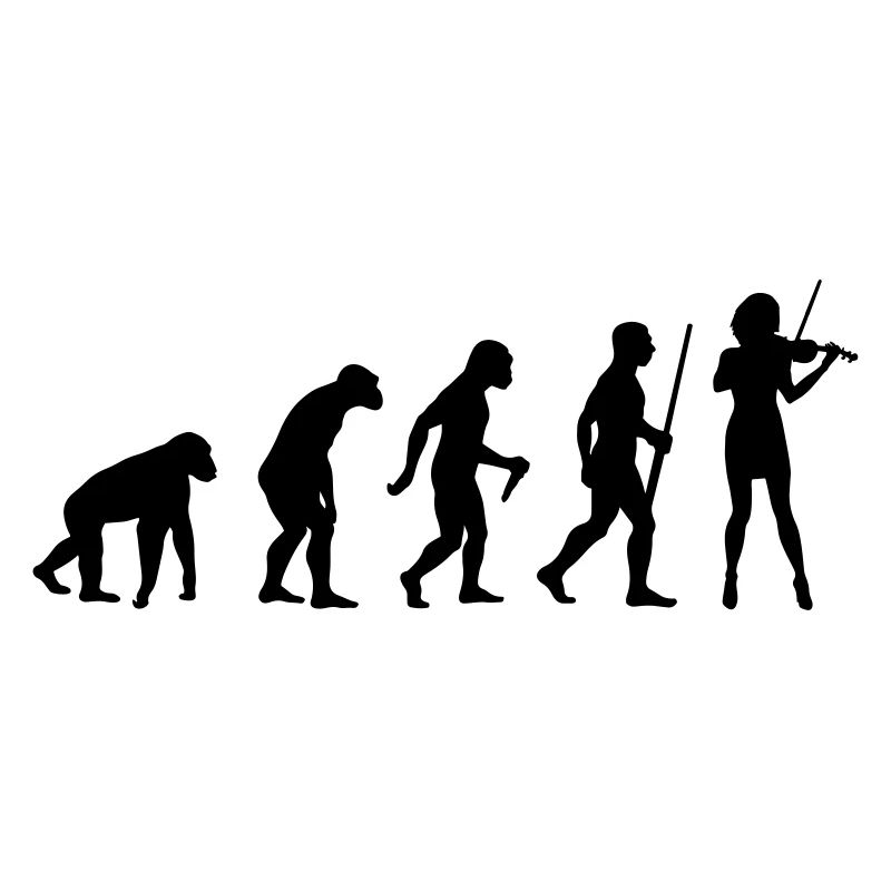 Évolution du violoncelliste