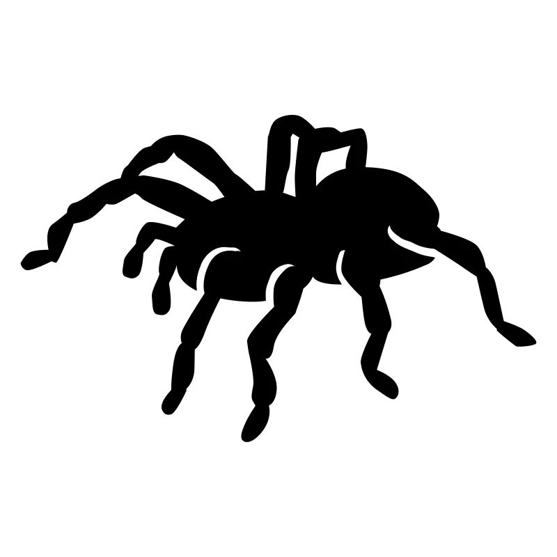 Spinne
