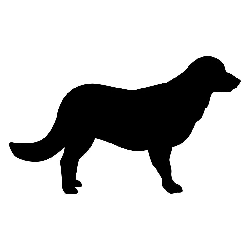 Flat Coated Retriever