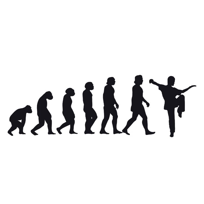 Évolution du Kung Fu