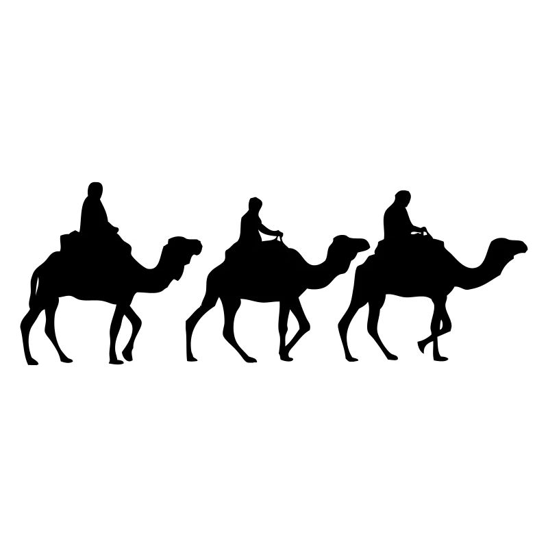 Camel - Dromedar - Kamel - Karawane