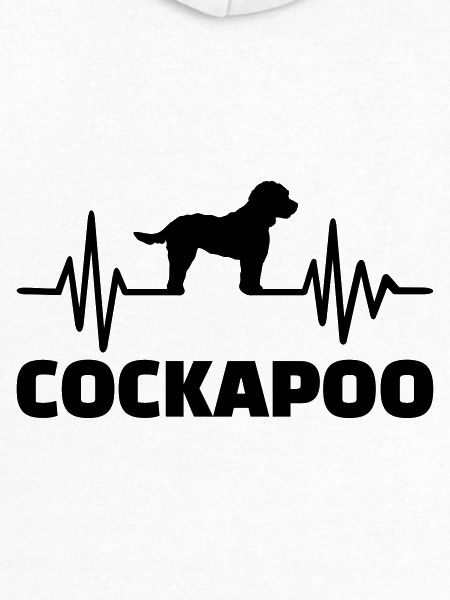 Cockapoo