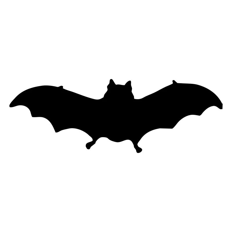 bat