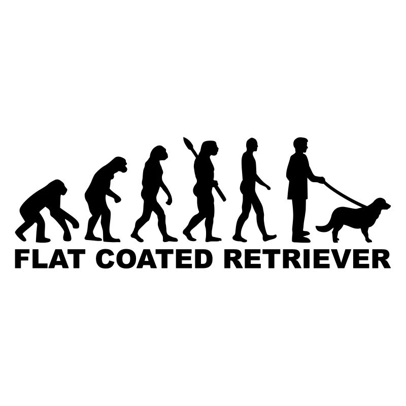Flat Coated Retriever