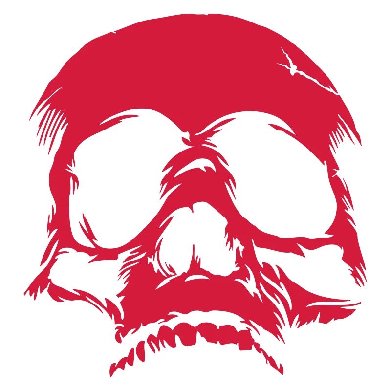 Skull Riss