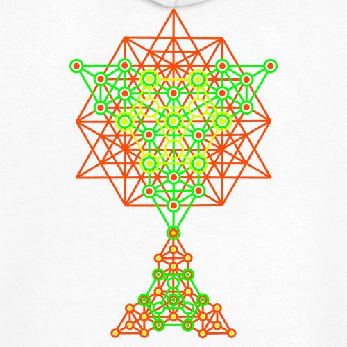 Tree Equiibrium Backside Print - Veste à capuche bio Premium Unisexe