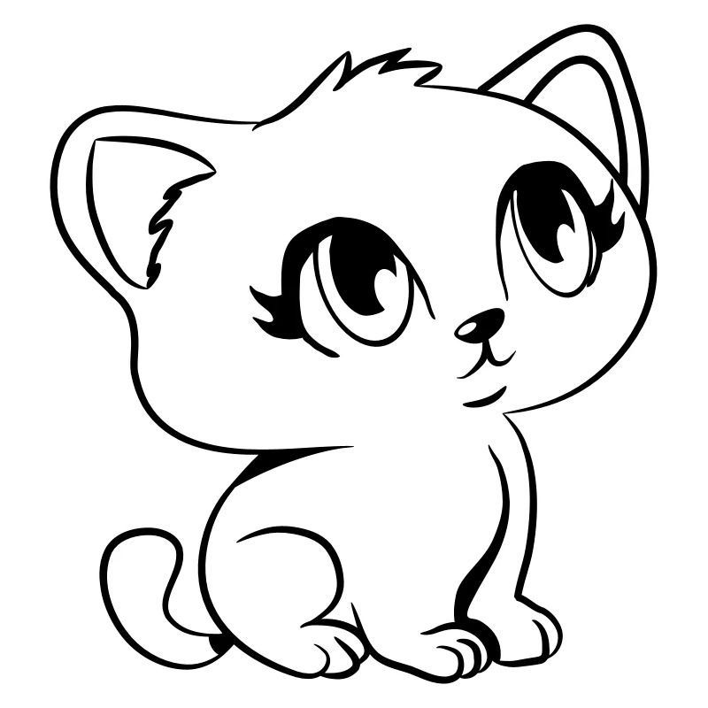 Katze jung klein süss lieb