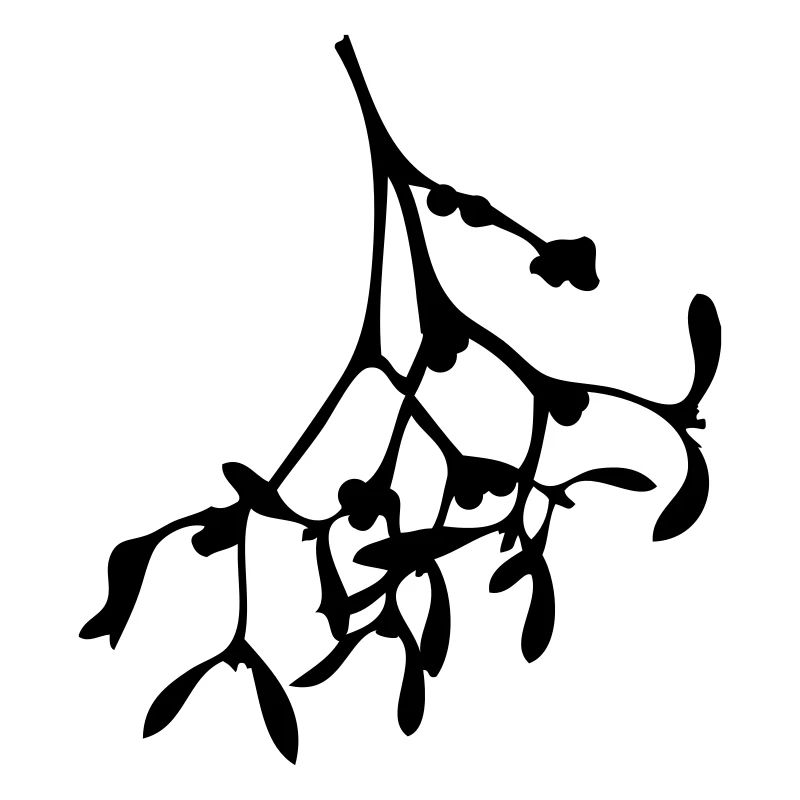Mistletoe