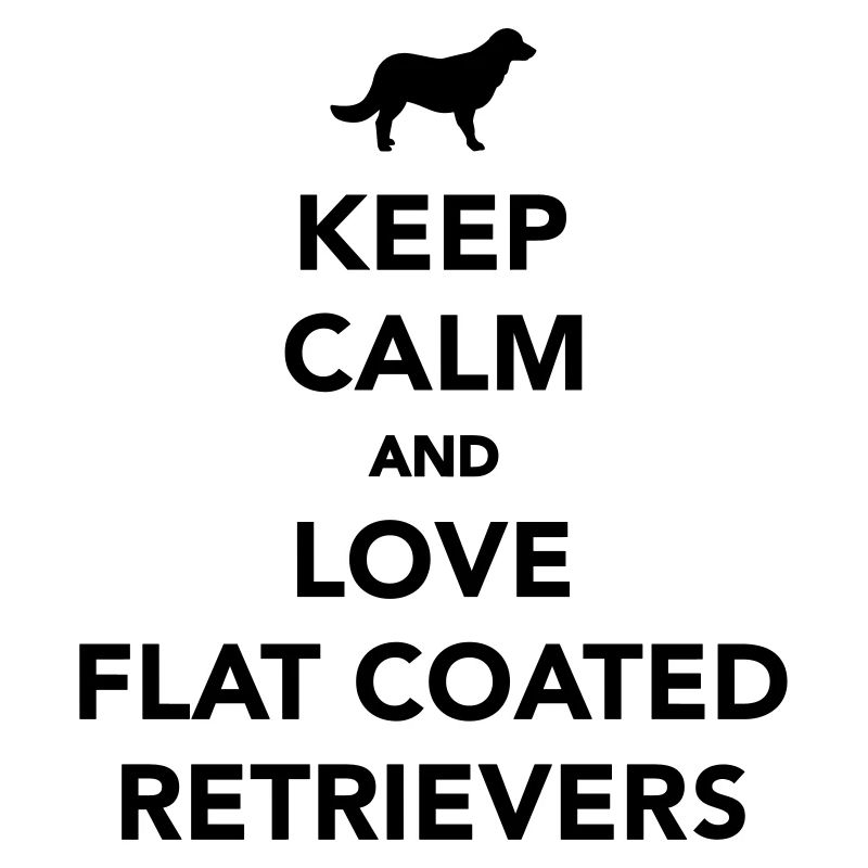 Flat Coated Retriever