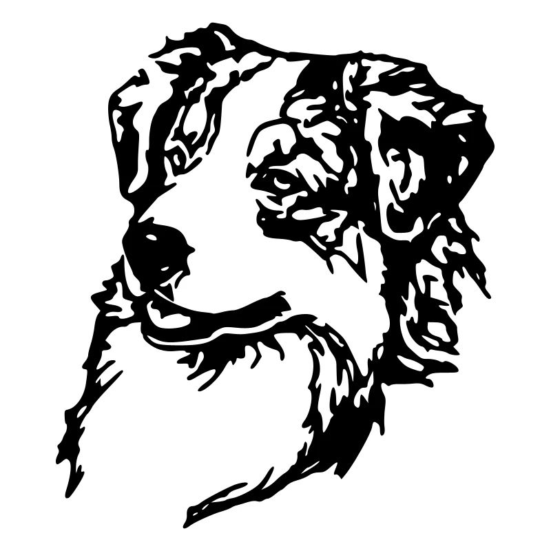 Australian Shepherd Kopf