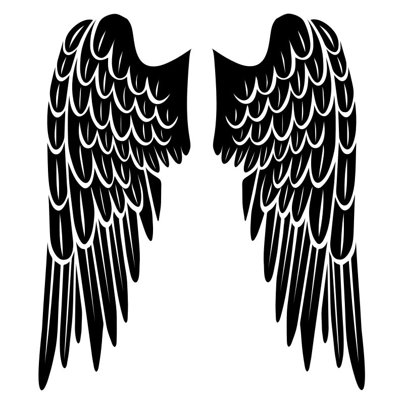 wings