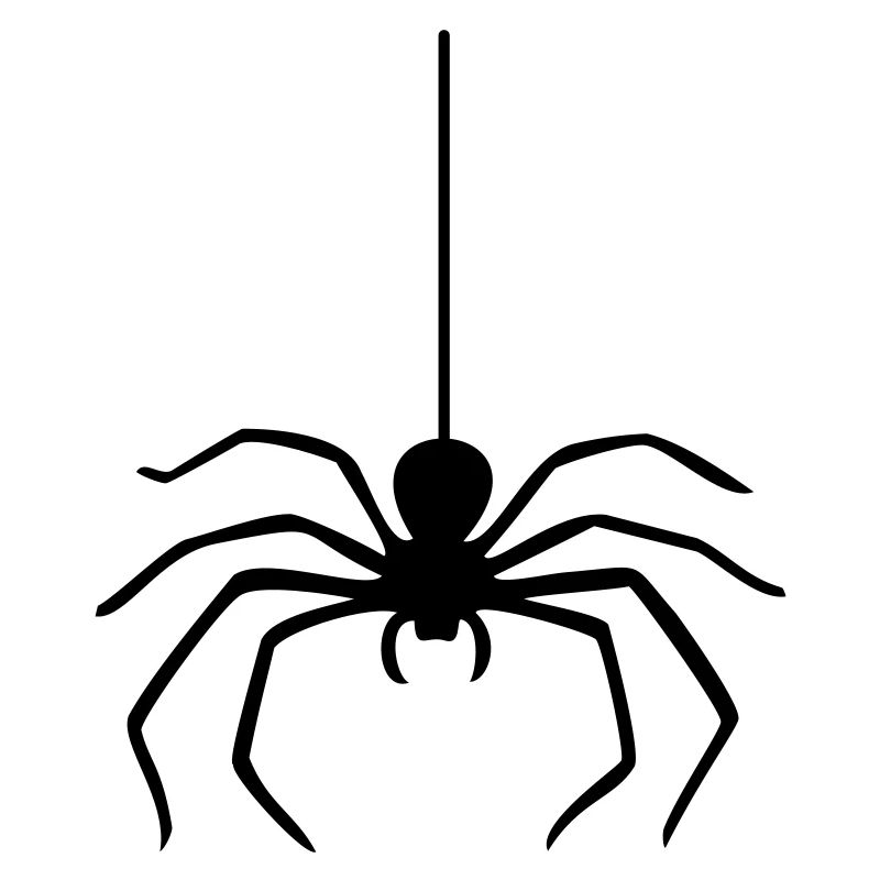 Araignée / Araignée