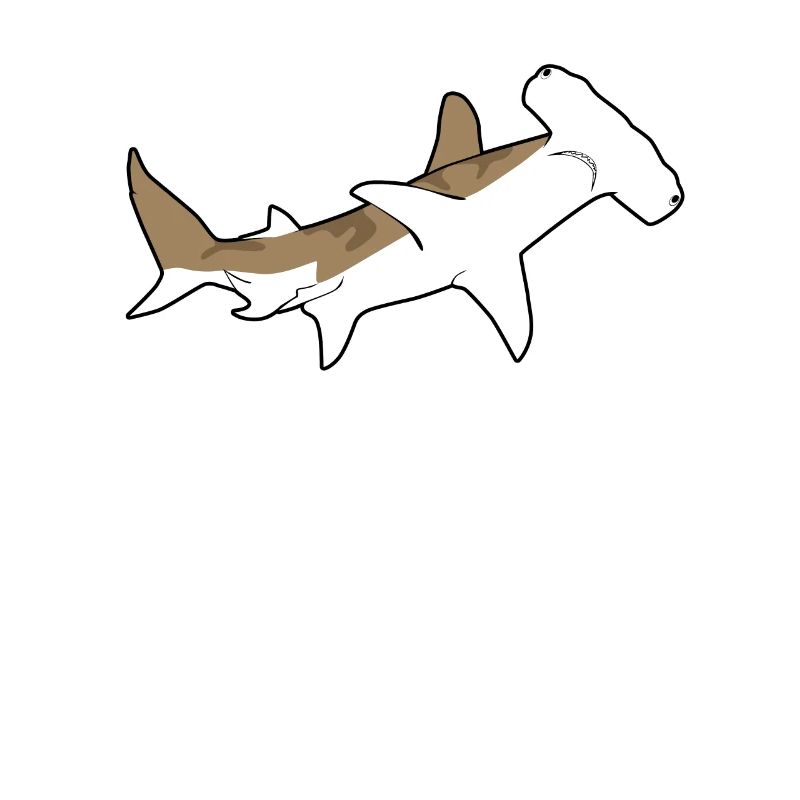 hammerhead