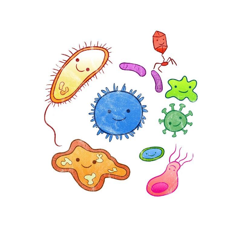 Microorganisme microbiologie microbiologiste bio