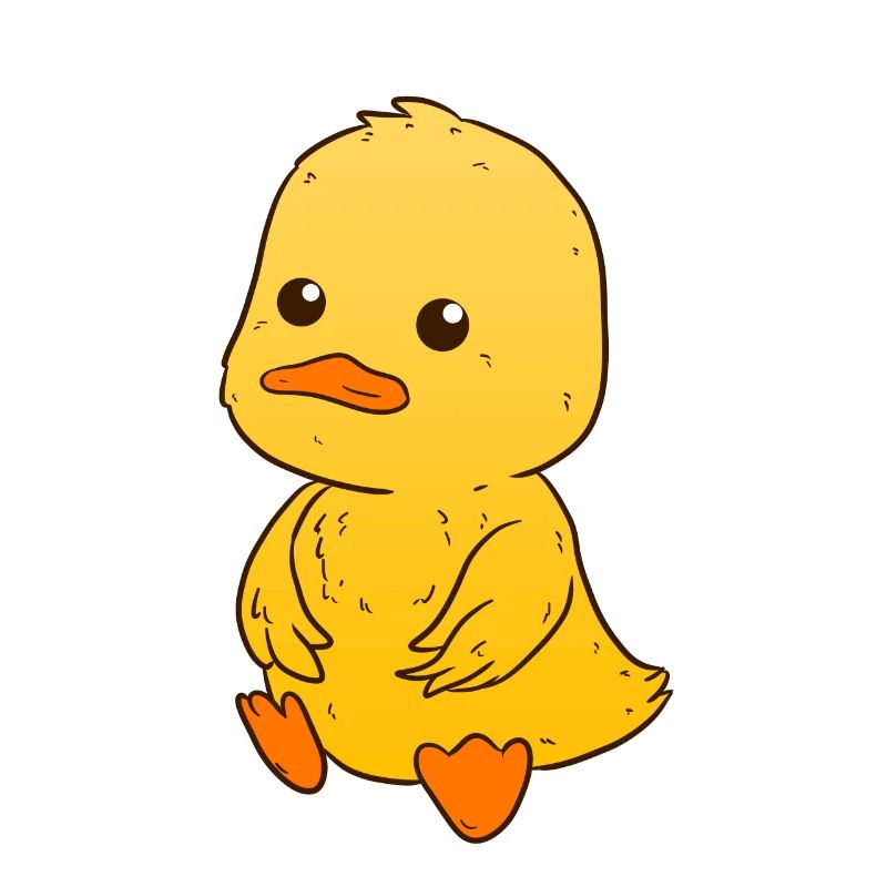 Duckling duck