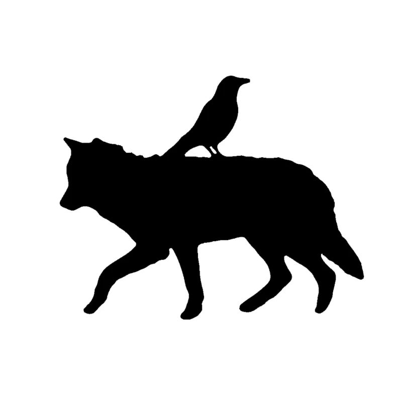 Raven on a wolve