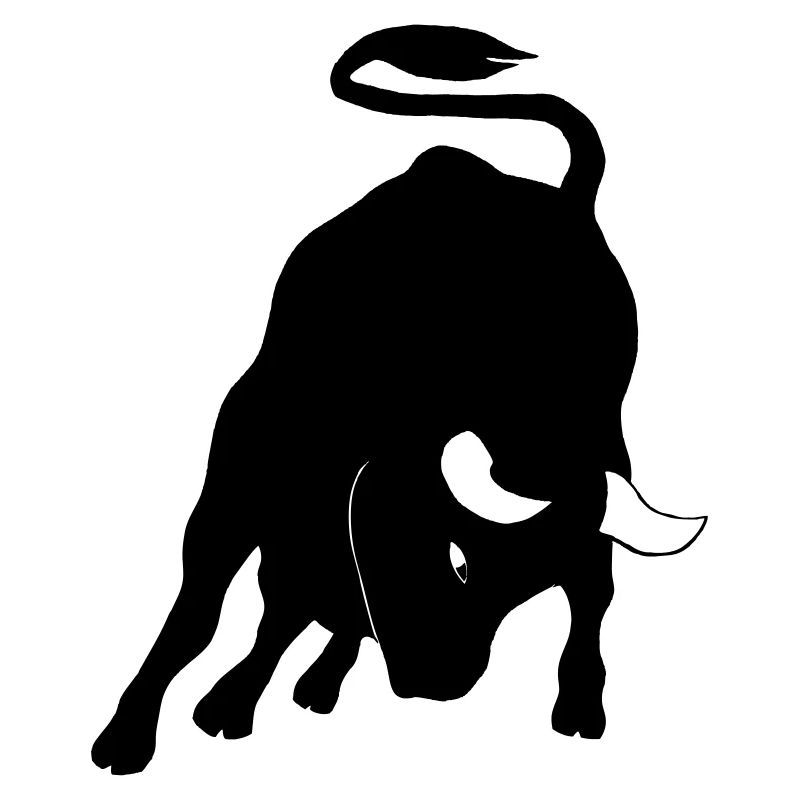 Stier