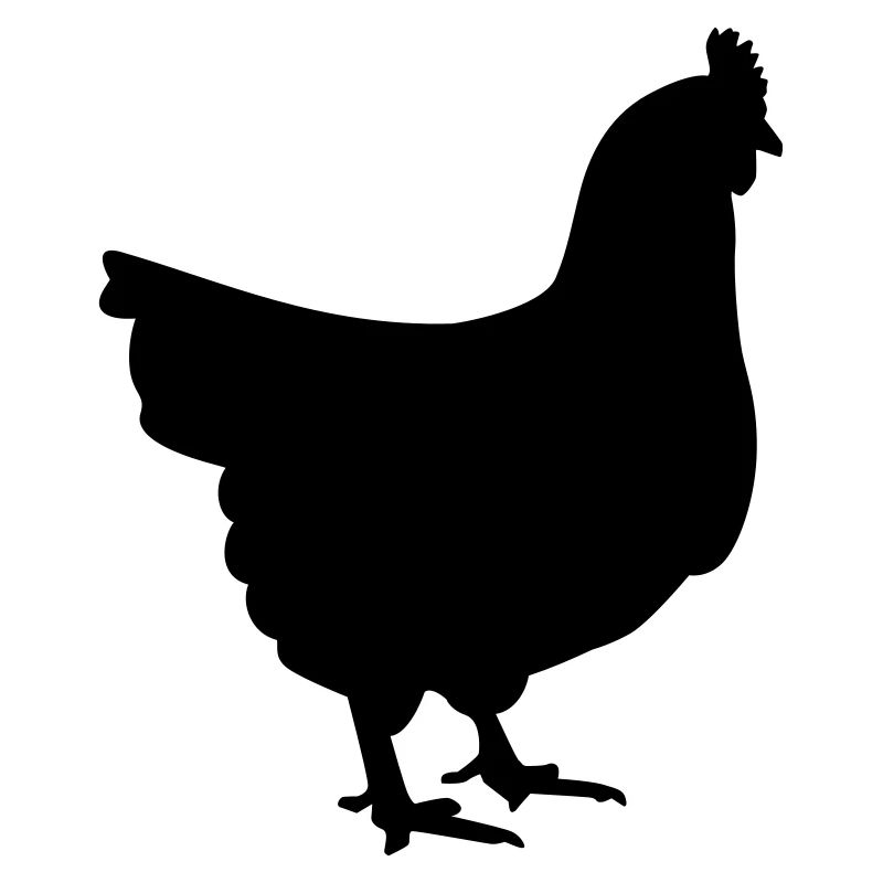 Poule