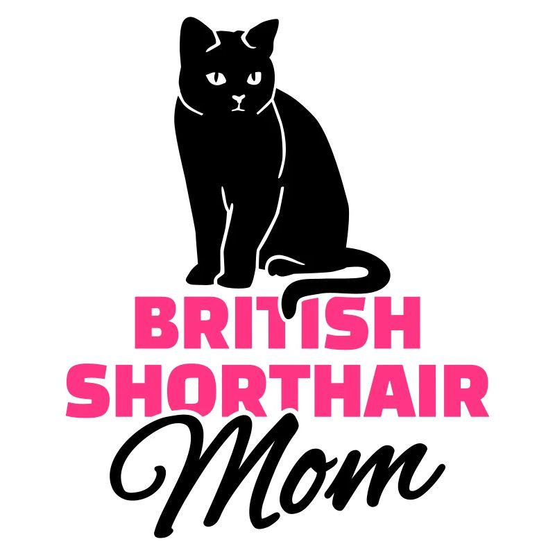 Britisch Kurzhaar Katze