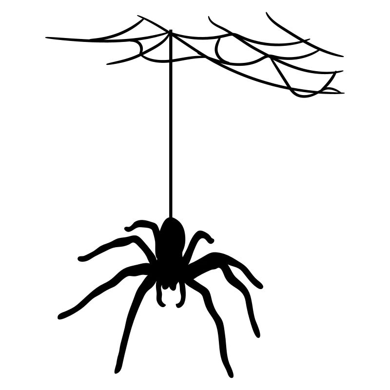 bland cobweb spider cobwebs large