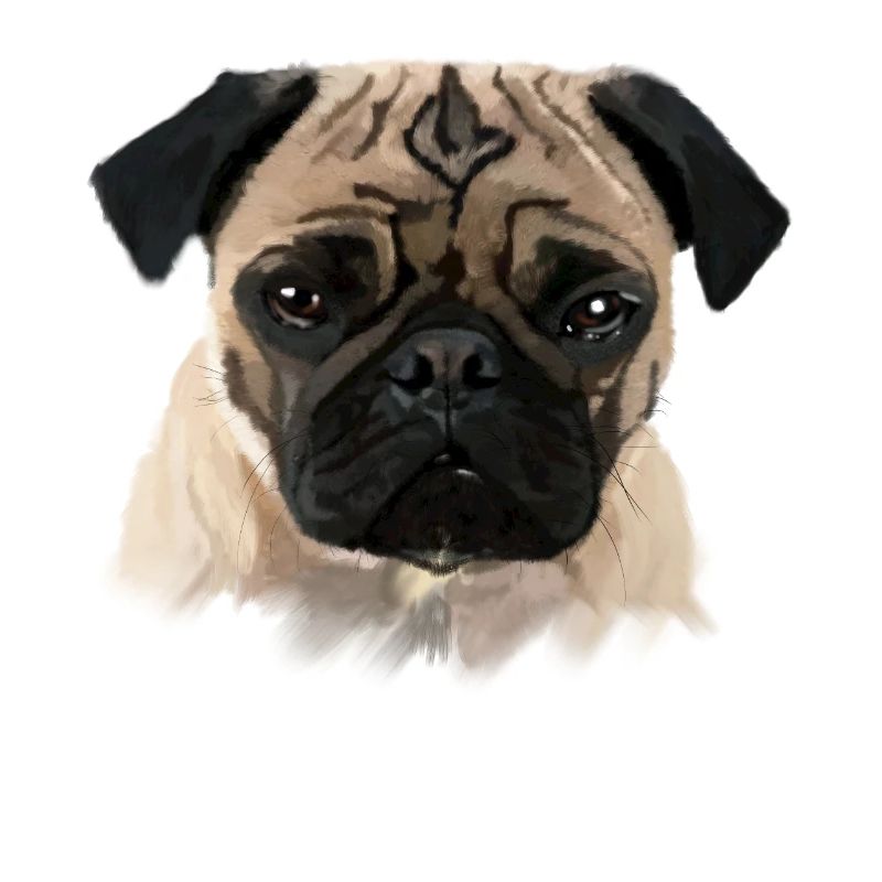 mops