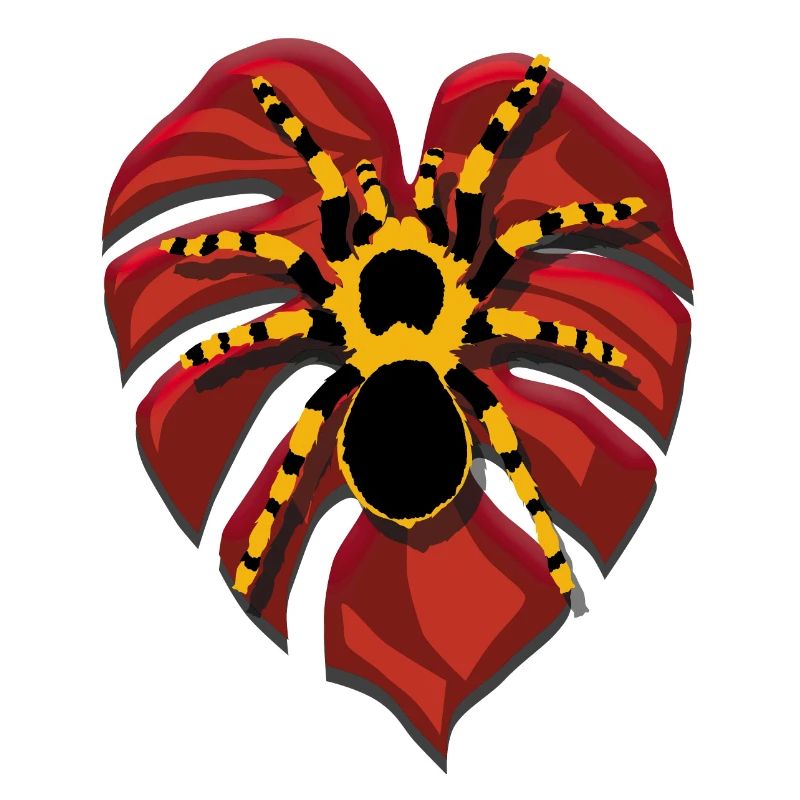 Tarantula | Spider on heart-shaped leaf