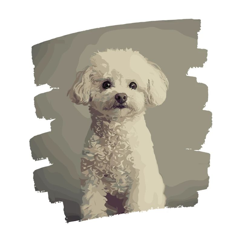 Poodle