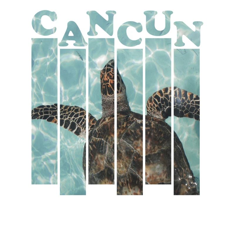 Cancun Sea Turtle Poolside Design