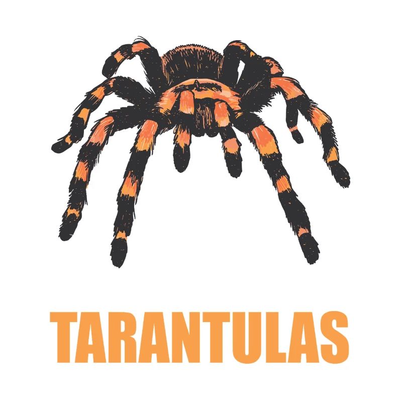 Tarentules Tarentule