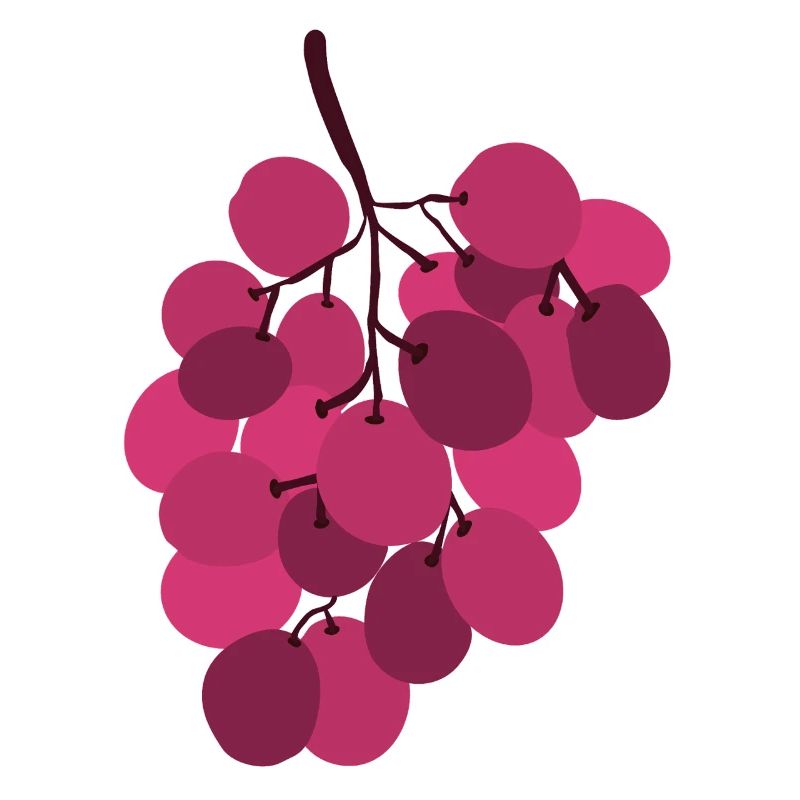 grappe de raisins rose vif