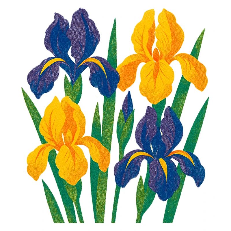 Harmonie d’iris : Fleurs dorées et indigo