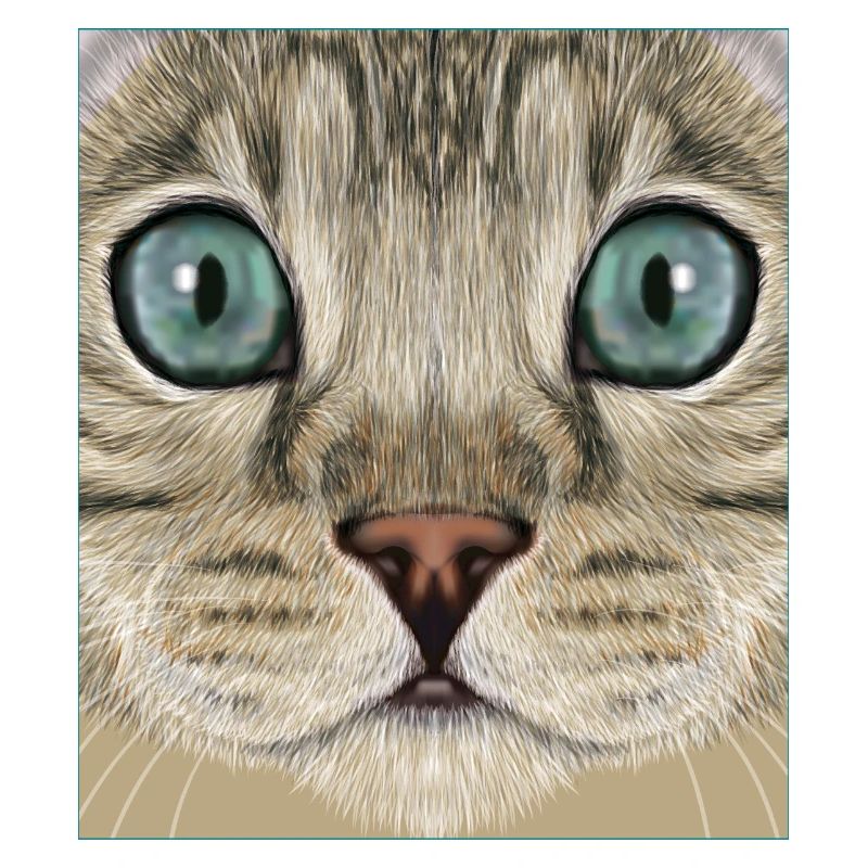 Chat léopard