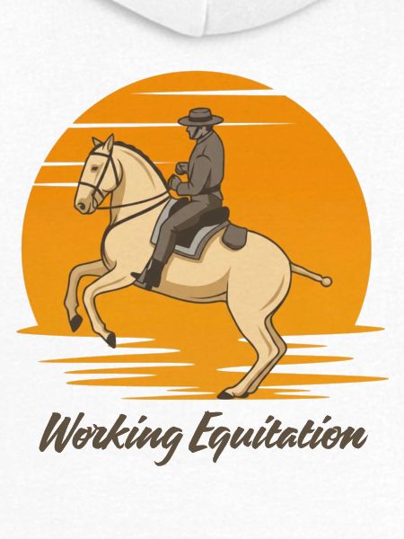 workingequitation01