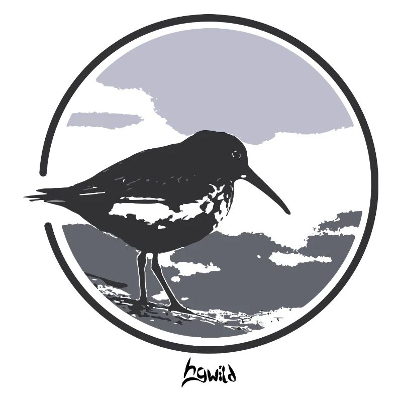 HGWILD - Bécasseau variable