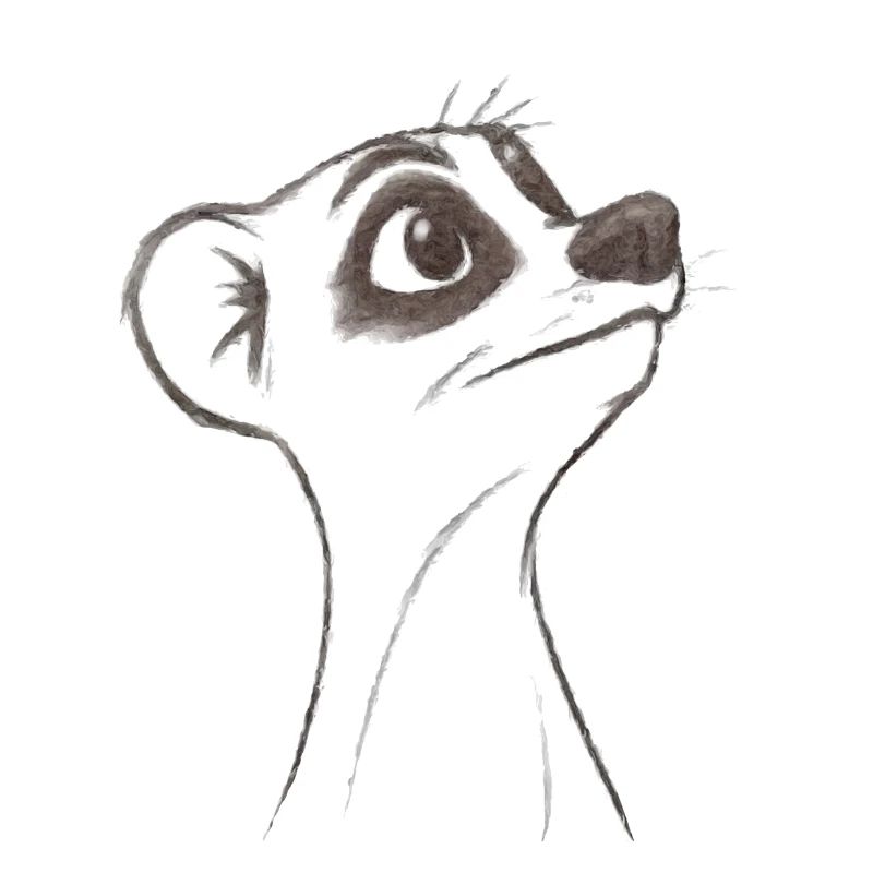 fragendes Erdmännchen