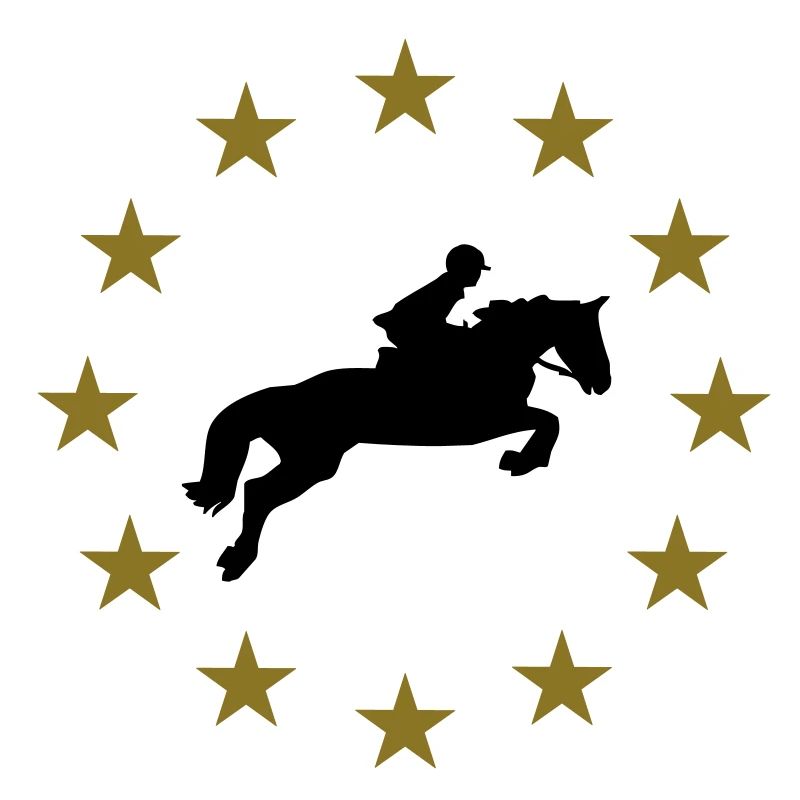 Springen Pferd & Sternen