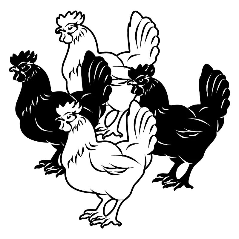 vier Hühner