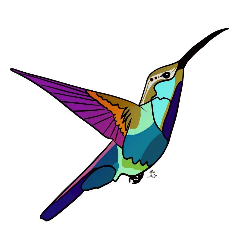Kolibri farbig