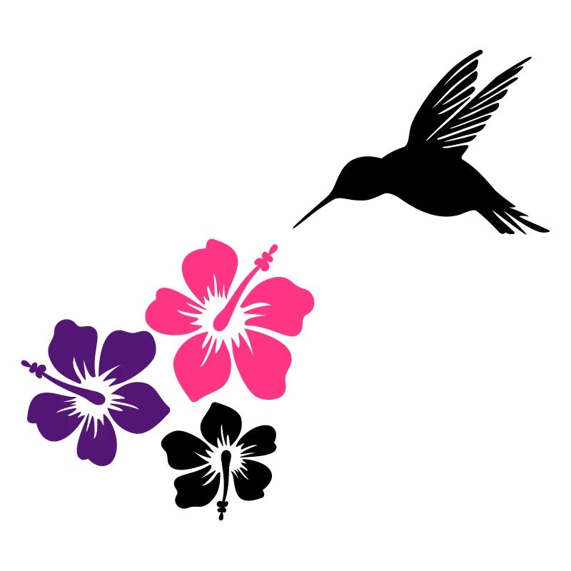 Colibri avec des fleurs d'hibiscus