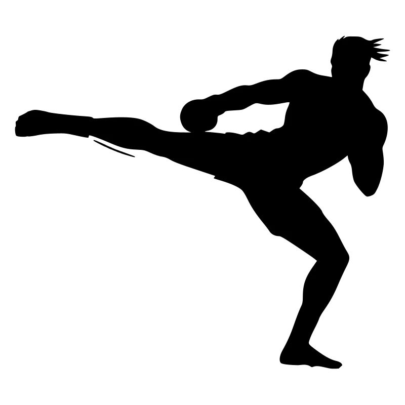 Kickboxer Silhouette 