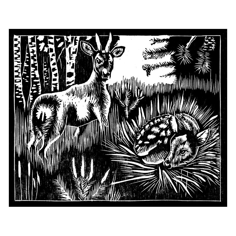Cerf d’Alfabeest