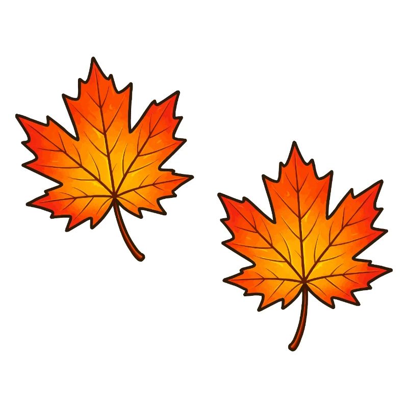 Illustration de feuilles d’érable d’automne