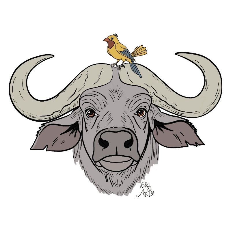 Stämmiger Büffel mit Singvogel