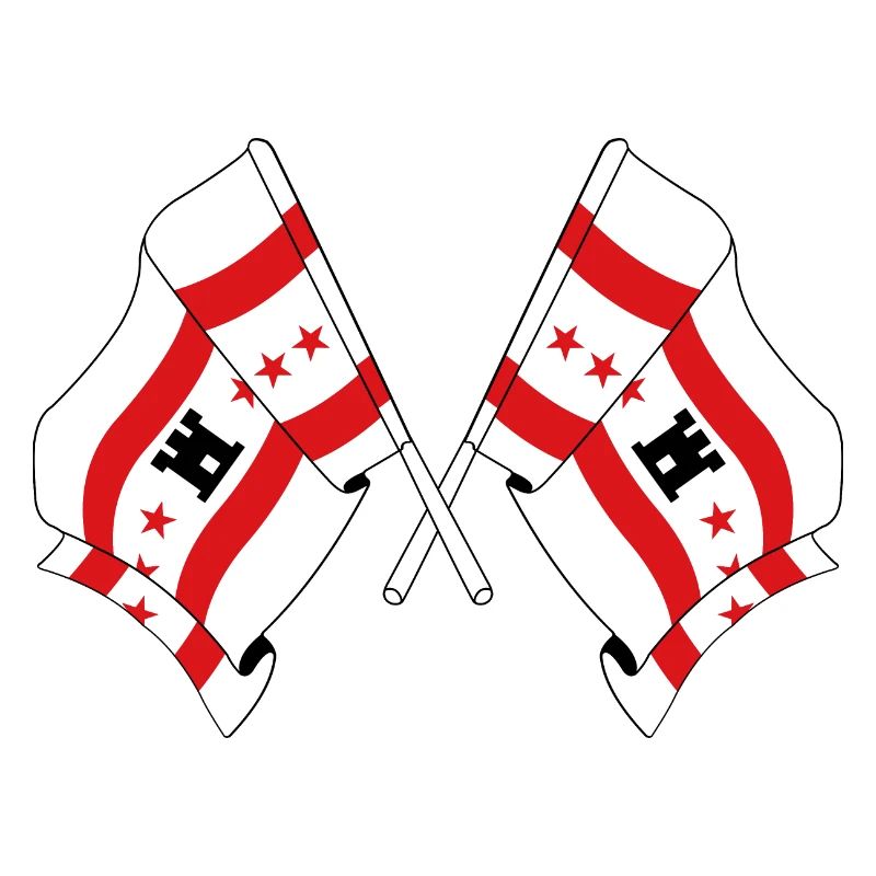 Deux drapeaux de la province de Drenthe