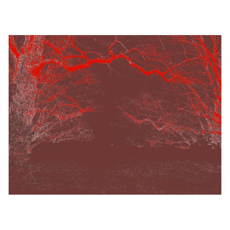 Red Cloud Forest – Abstract Forest