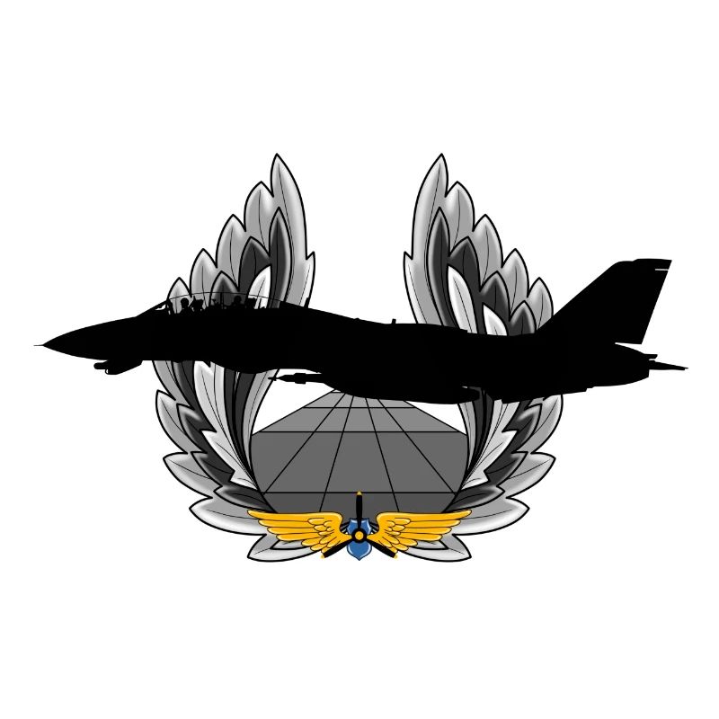 F-14 Tomcat