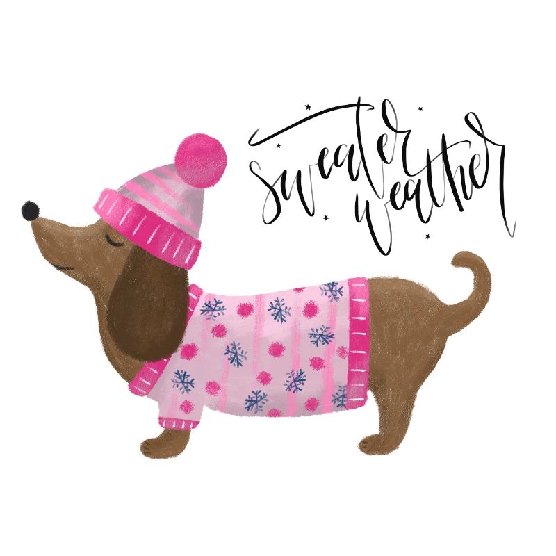 Dackel mit Pullover und Mütze Sweater Weather pink